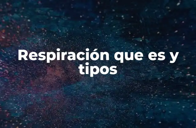 Respiración que es y Tipos 2 El proceso de intercambio gaseoso en los organismos vivos