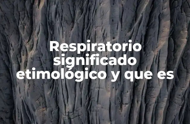 Respiratorio Significado Etimológico y que es
