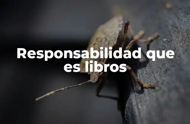 Responsabilidad que es Libros