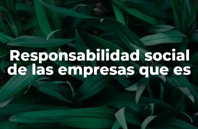 Responsabilidad Social de las Empresas que es