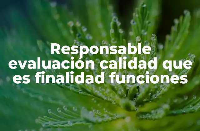 Responsable Evaluación Calidad que es Finalidad Funciones