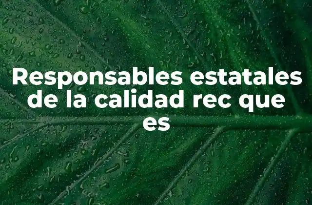 Responsables Estatales de la Calidad Rec que es