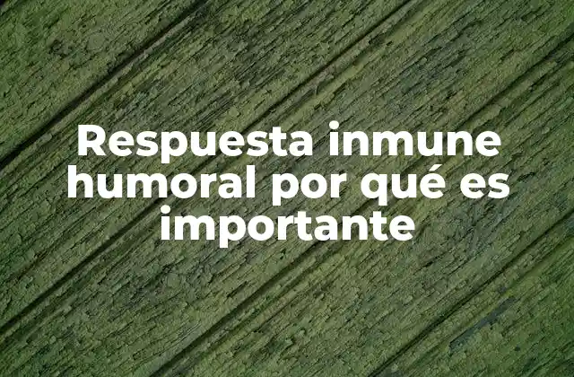 Respuesta Inmune Humoral por Qué es Importante