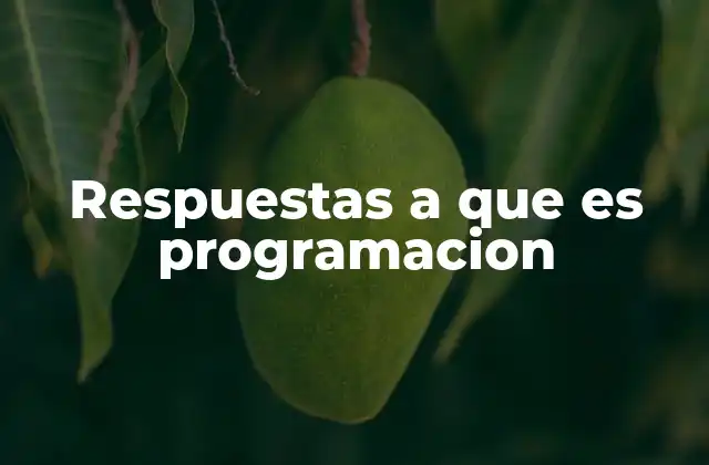 Respuestas a que es Programacion