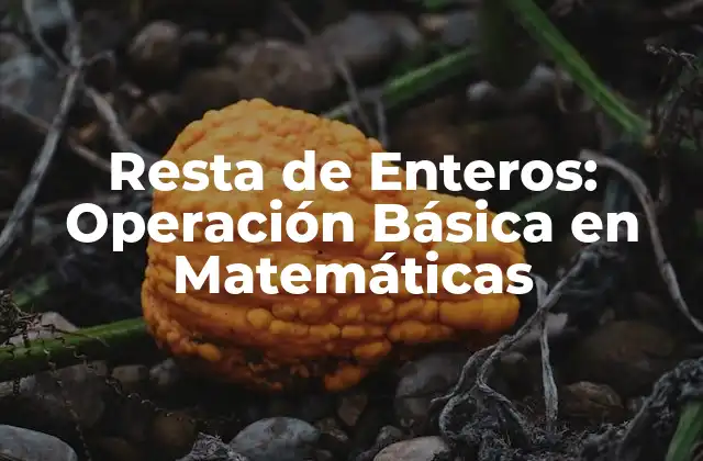 Definición y Concepto de Resta de Enteros