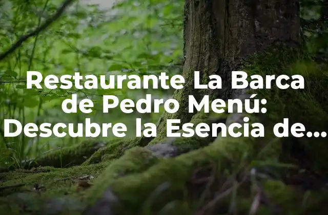 La Esencia de la Cocina Española en el Menú de La Barca de Pedro