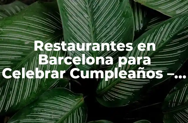 Restaurantes en Barcelona para Celebrar Cumpleaños – Descubre los Mejores