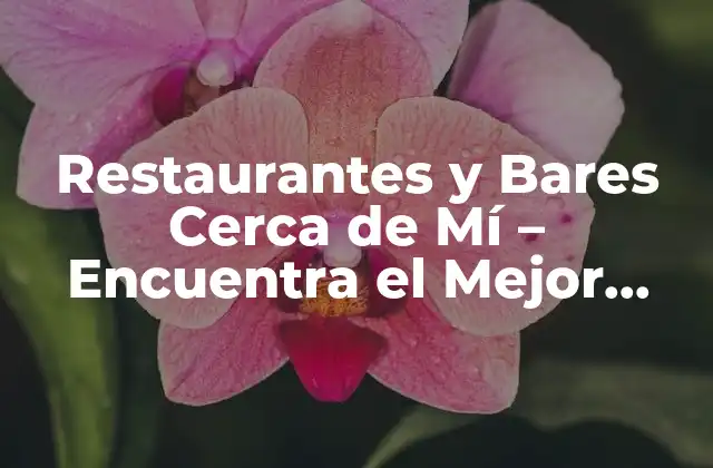 Restaurantes y Bares Cerca de Mí – Encuentra el Mejor Lugar para Comer y Beber