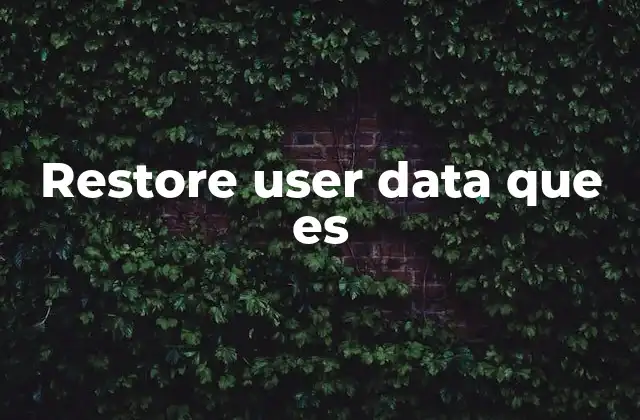 Restore User Data que es