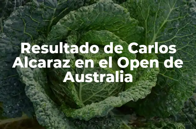 Resultado de Carlos Alcaraz en el Open de Australia 2 ¿Quién es Carlos Alcaraz?