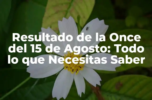 Resultado de la Once Del 15 de Agosto: Todo Lo que Necesitas Saber