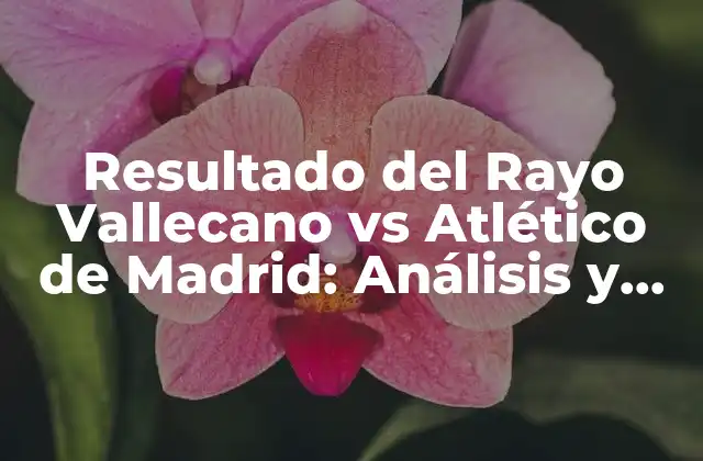 Resultado Del Rayo Vallecano Vs Atlético de Madrid: Análisis y Resumen Del Partido