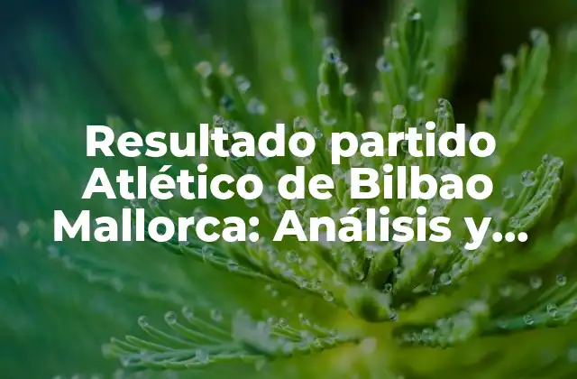 Antecedentes del Partido: La Historia entre Atlético de Bilbao y Mallorca