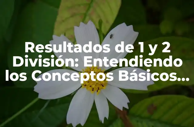 Resultados de 1 y 2 División: Entendiendo los Conceptos Básicos de la Matemática 2 ¿Qué es la División en Matemáticas?