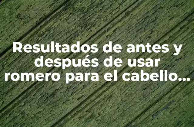 Resultados de Antes y Después de Usar Romero para el Cabello – ¡el Milagro Natural!