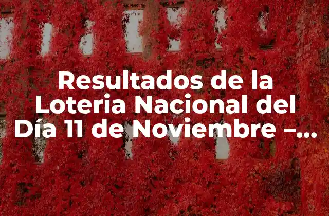 Resultados de la Loteria Nacional Del Día 11 de Noviembre – Sorteo y Ganadores