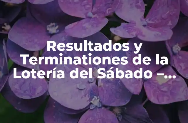 Resultados y Terminationes de la Lotería Del Sábado – Últimas Noticias y Análisis