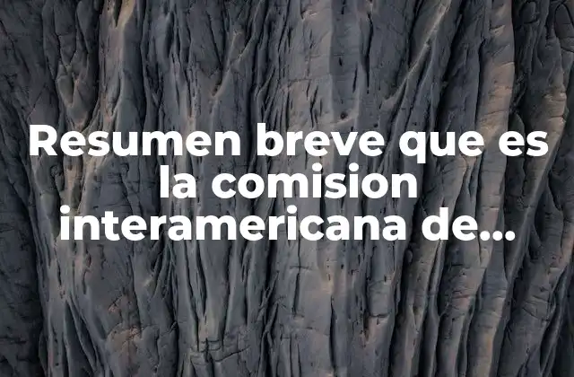 Resumen Breve que es la Comision Interamericana de Derechos Humanos
