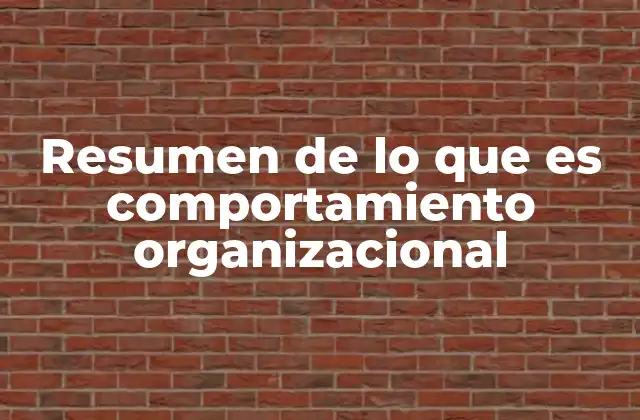 Resumen de Lo que es Comportamiento Organizacional