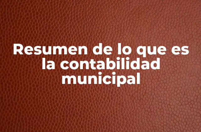 Resumen de Lo que es la Contabilidad Municipal