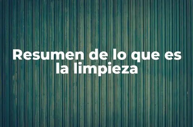 Resumen de Lo que es la Limpieza
