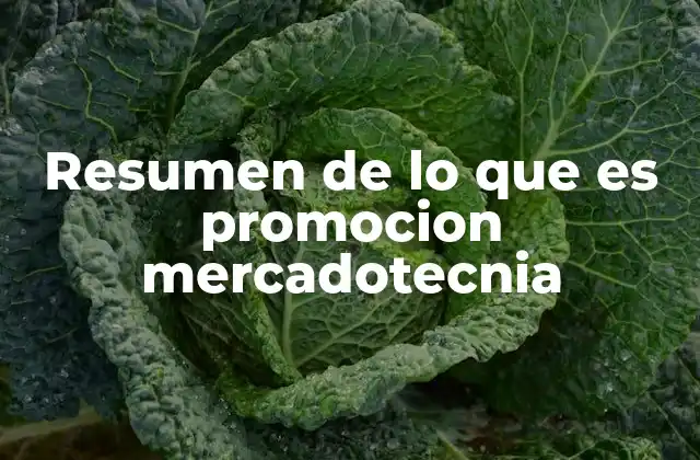 Resumen de Lo que es Promocion Mercadotecnia