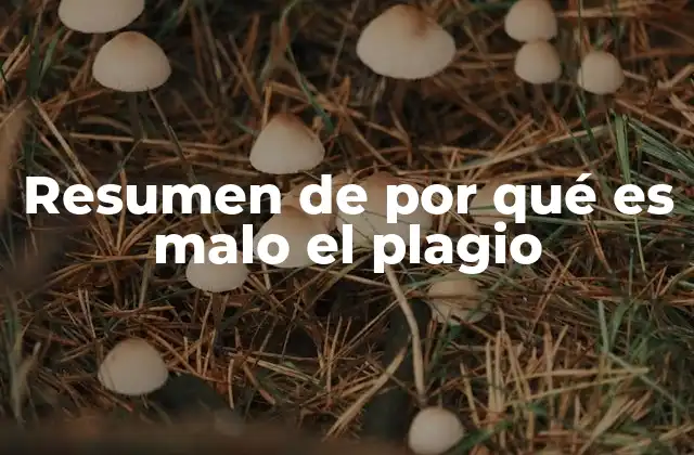 Resumen de por Qué es Malo el Plagio