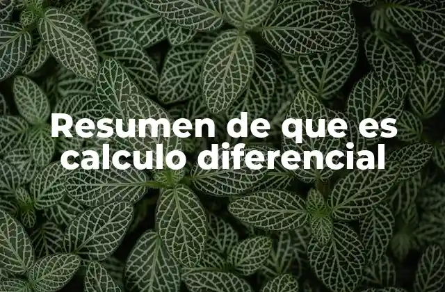Resumen de que es Calculo Diferencial