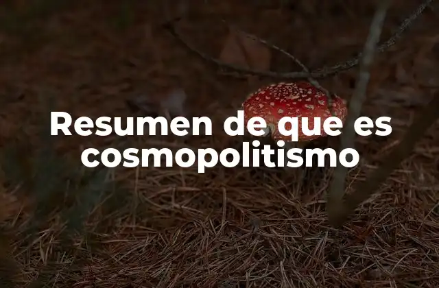 Resumen de que es Cosmopolitismo