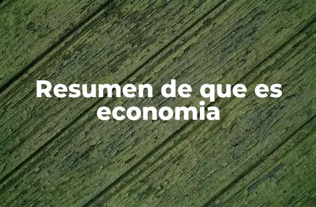 Resumen de que es Economia
