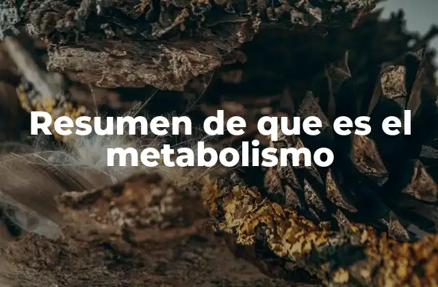 Resumen de que es el Metabolismo