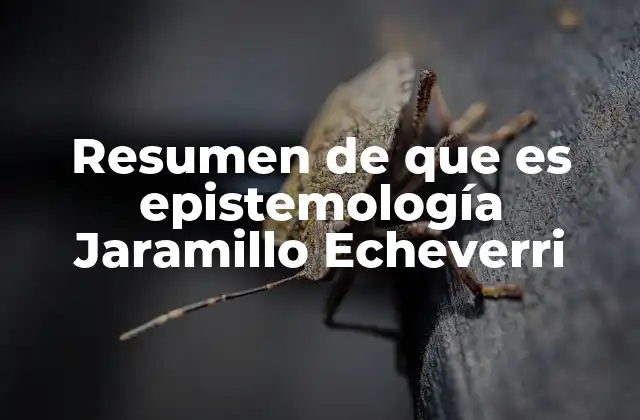 Resumen de que es Epistemología Jaramillo Echeverri