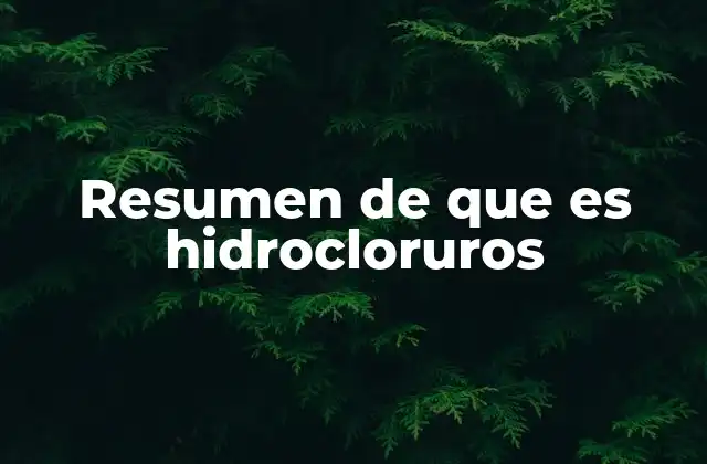 Resumen de que es Hidrocloruros