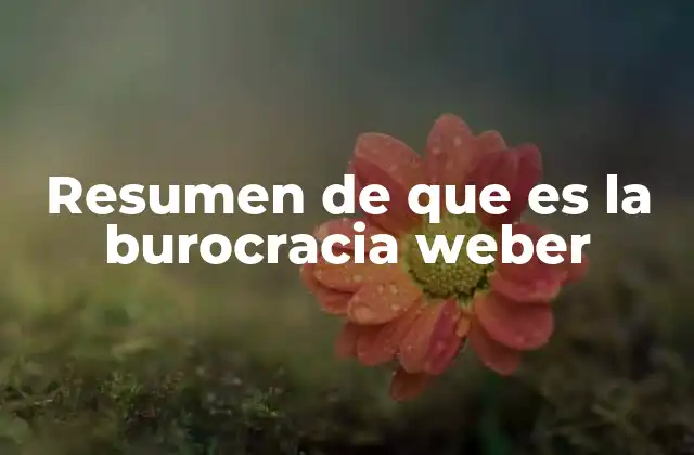 Resumen de que es la Burocracia Weber 2 Características de la burocracia weberiana