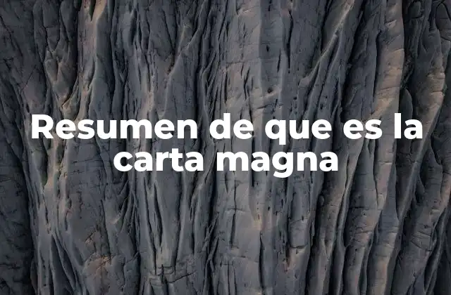 Resumen de que es la Carta Magna