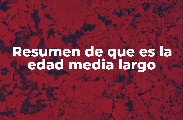 Resumen de que es la Edad Media Largo