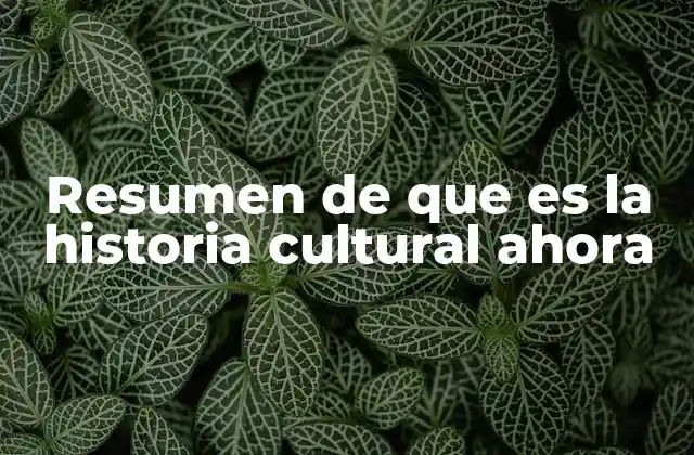 Resumen de que es la Historia Cultural Ahora