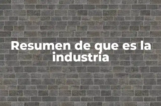 Resumen de que es la Industria