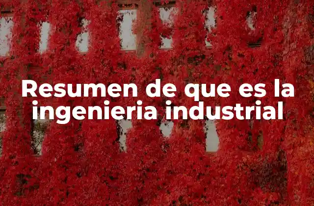 Resumen de que es la Ingenieria Industrial