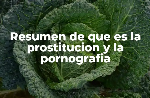Resumen de que es la Prostitucion y la Pornografia