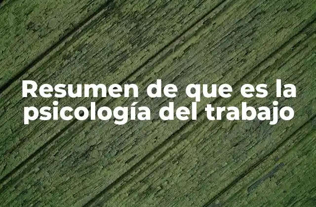 Resumen de que es la Psicología Del Trabajo