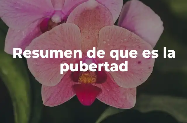 Resumen de que es la Pubertad