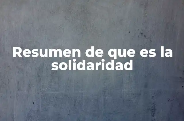 Resumen de que es la Solidaridad