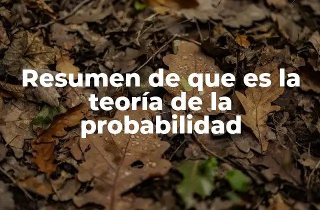 Resumen de que es la Teoría de la Probabilidad