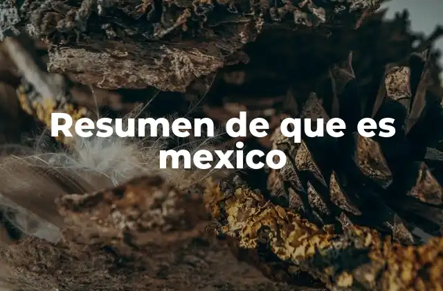 Resumen de que es Mexico