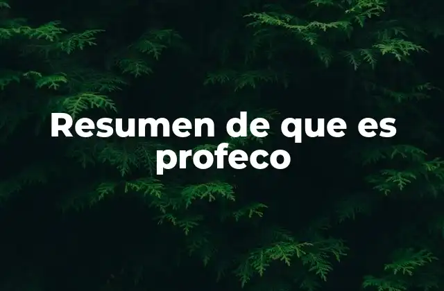 Resumen de que es Profeco