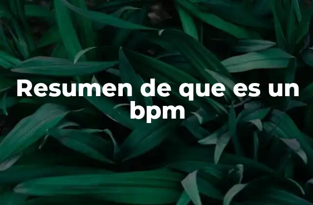 Resumen de que es un Bpm