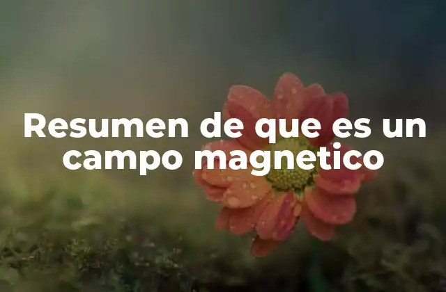 Resumen de que es un Campo Magnetico