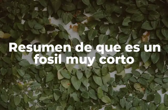 Resumen de que es un Fosil Muy Corto