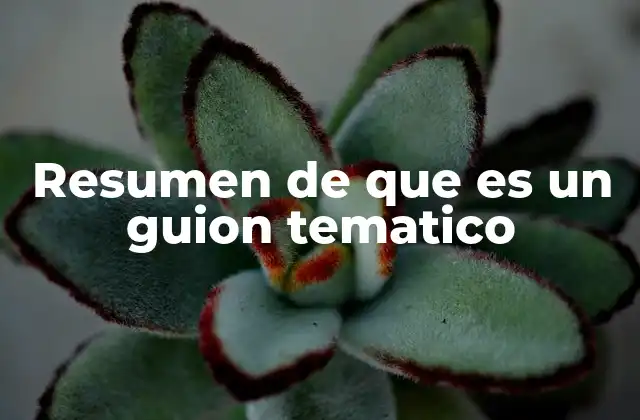 Resumen de que es un Guion Tematico